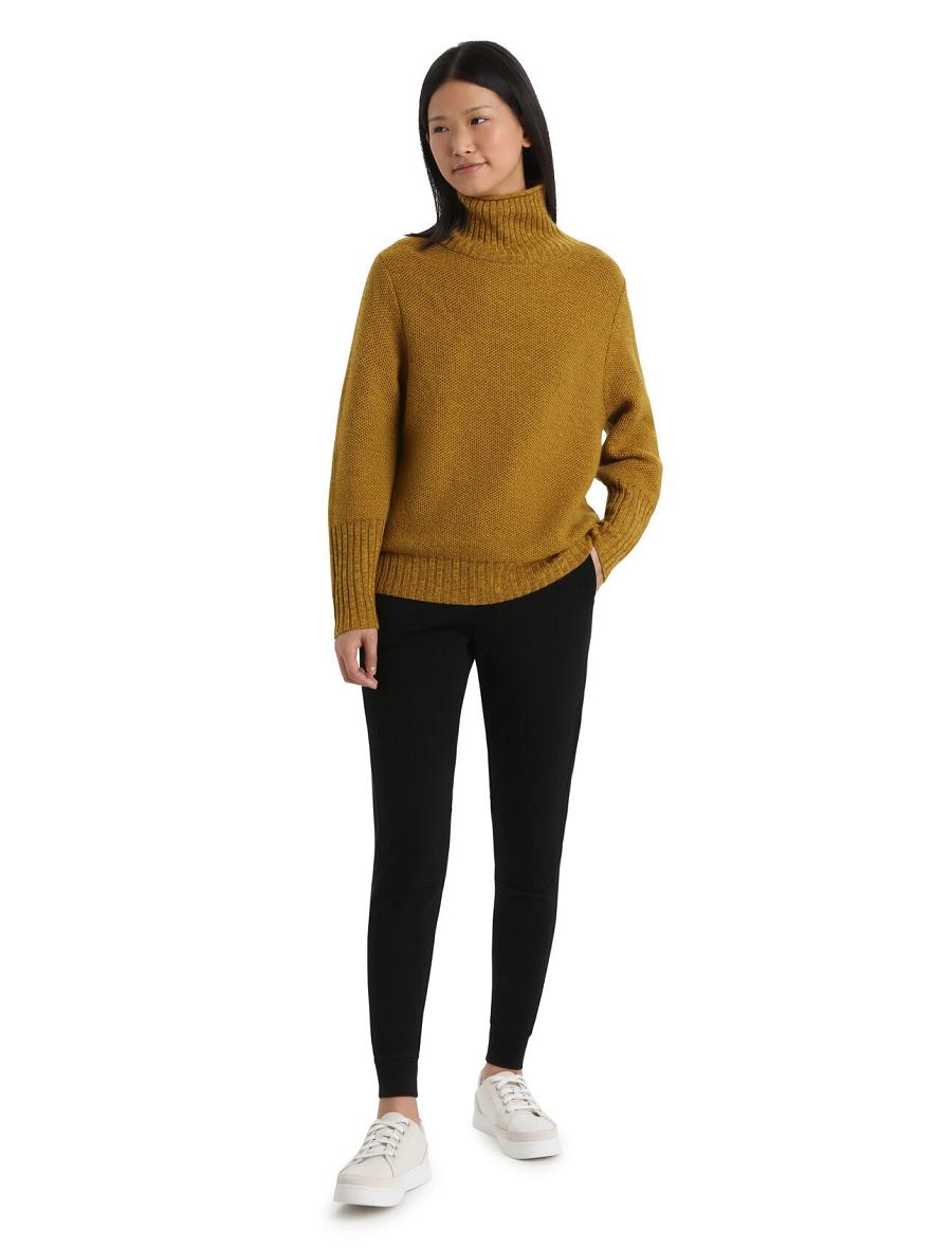 Clove / Silent Gold Icebreaker Merino Seevista Funnel Neck Women's Sweaters | AU 1626WNBY